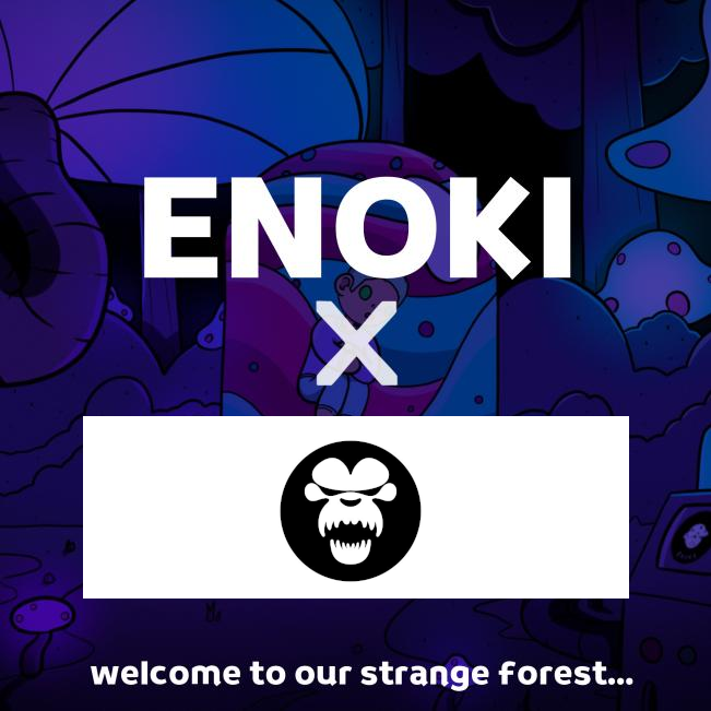 Enoki tweet media