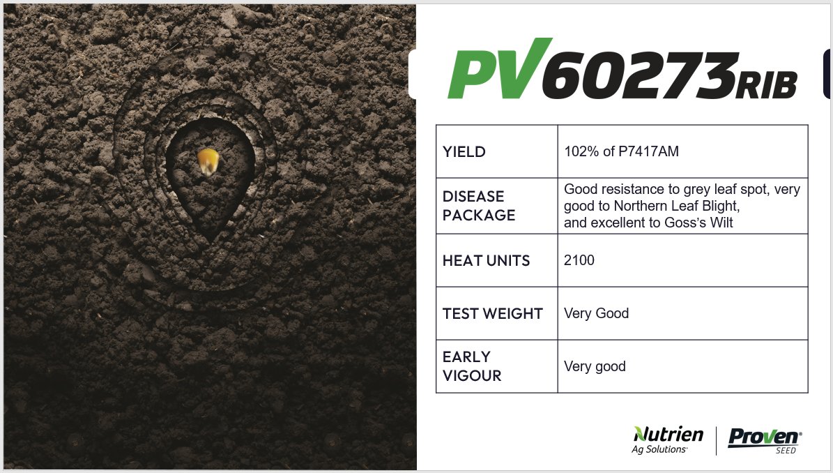 New for 2023! PV 60273 RIB is an early flowering VTDoublePro® RIB Complete hybrid with strong stalks and test weight. This hybrid prefers medium to medium-high population. Available only at <a href="/NutrienAgCDA/">Nutrien Ag Solutions Canada</a> retails. #plant23