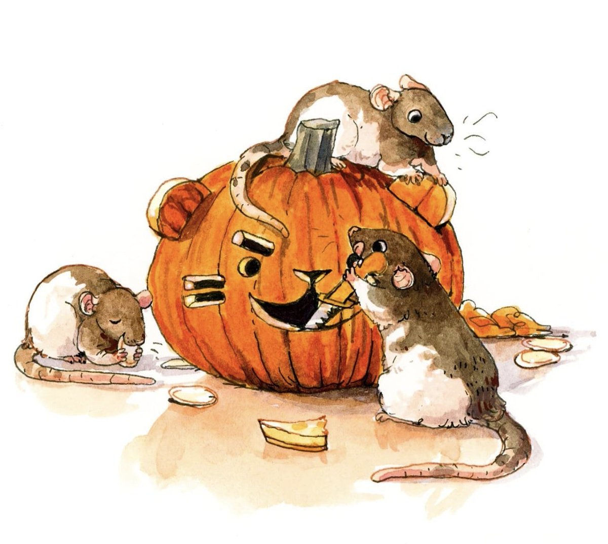 no humans pumpkin mouse white background jack-o'-lantern food simple background  illustration images