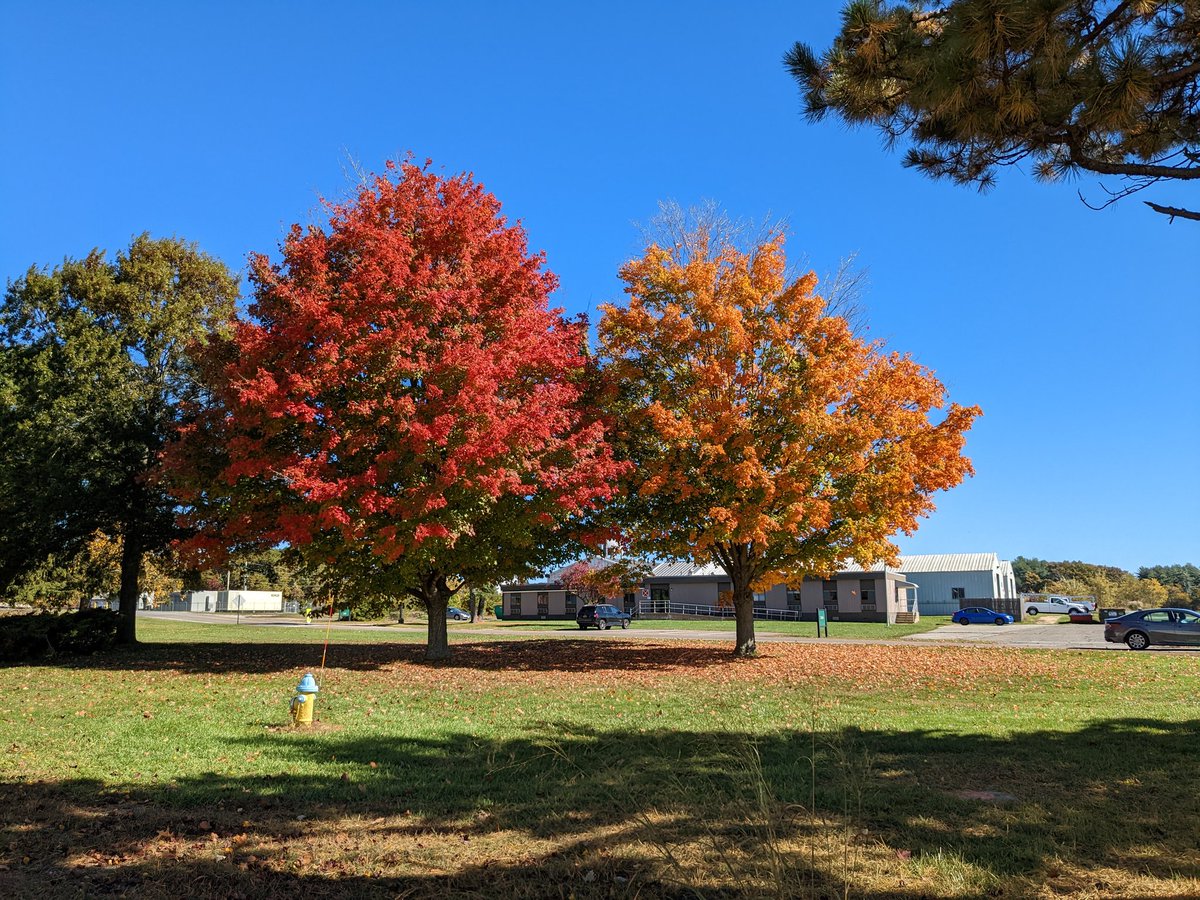 Meifeng Lin tweet media