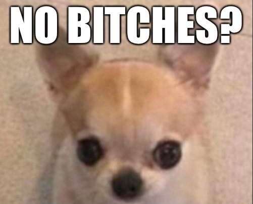 DogsDoAspas's tweet image. Dia 12

Cachorro meme de Megamente
@loud_aspas