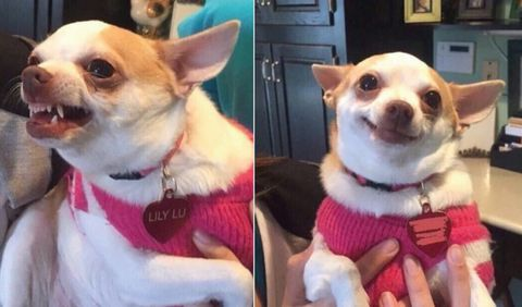 gregoryerre's tweet photo. Latinos escuchando a Auron y Rubius diciendo que les da pereza ir a LATAM // Latinos escuchando a otros latinos decir que jamas volverían a LATAM porque todo es un asco https://t.co/MxLtwkyyjM