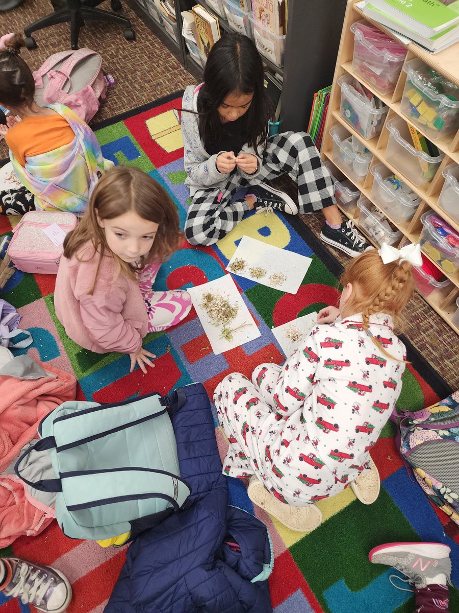 A special thank you to the Lemont Garden Club for coming to our Garden Club meeting. Mrs. Miller showed us all about dried seeds from old flowers! Great job directing flowers by the students! 💐 <a href="/fiore_bridget/">Miss Fiore</a> #sd113a #RebelPride