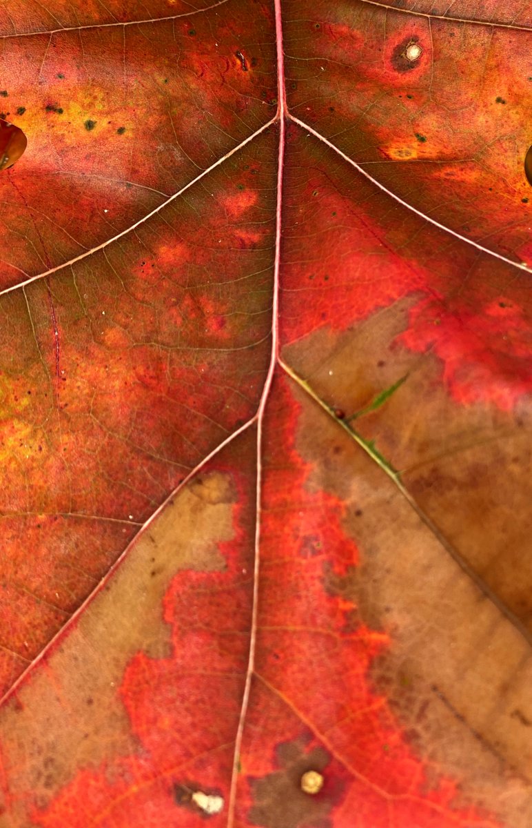 Rob Beintema tweet media