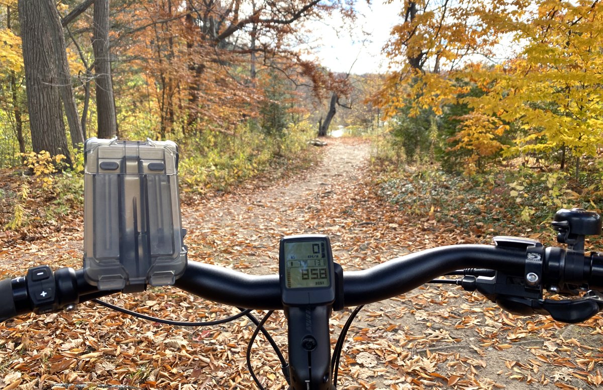 Rob Beintema tweet media