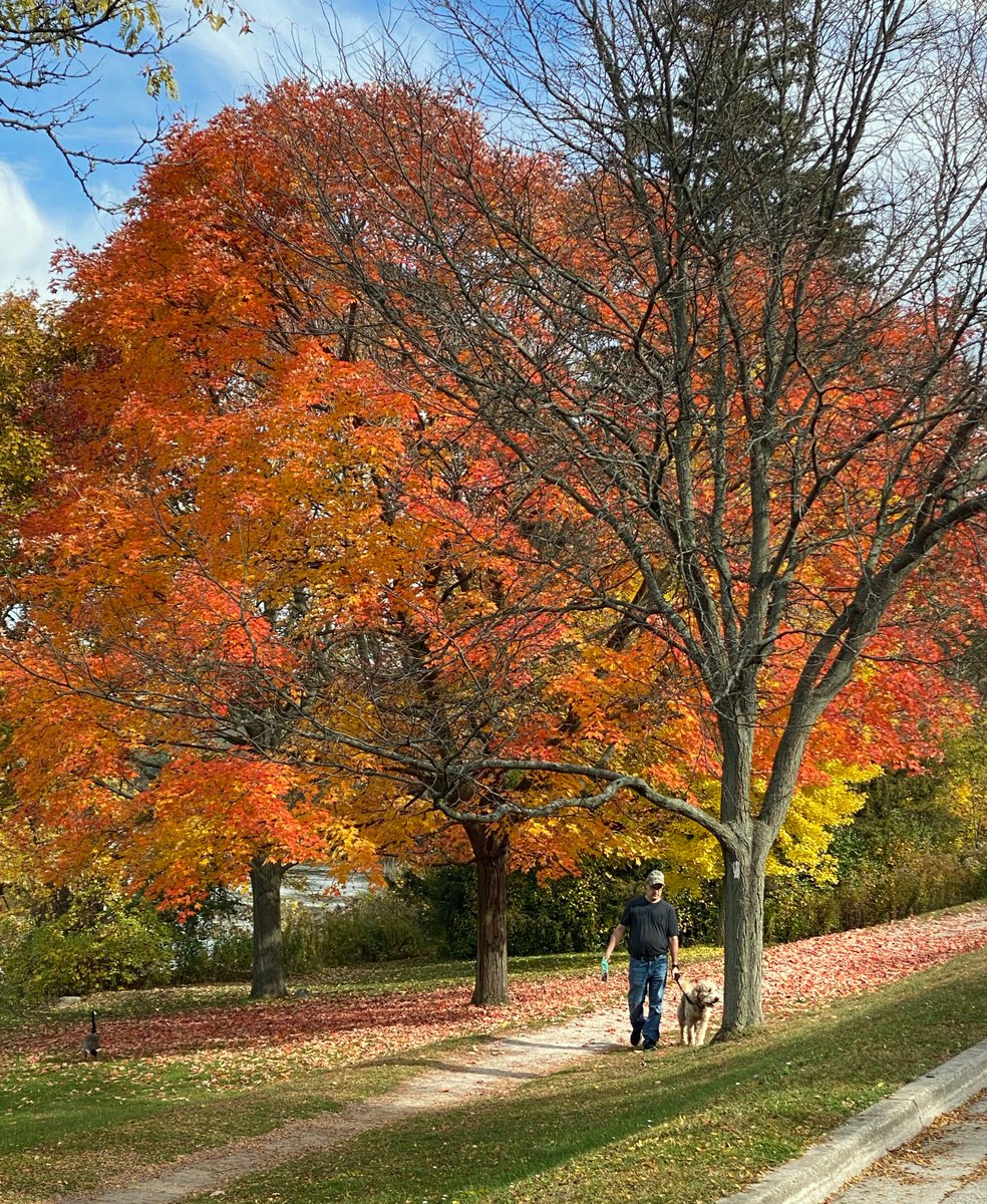 Rob Beintema tweet media