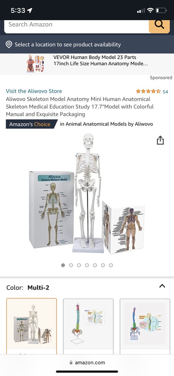 Courtney Schollian, SPT tweet media