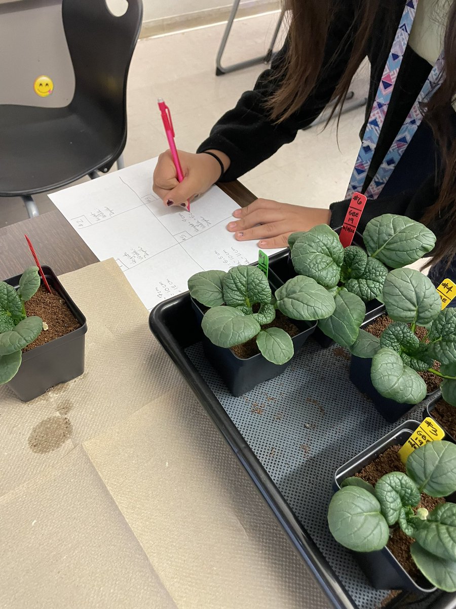 Ms Ro-Do tweet media