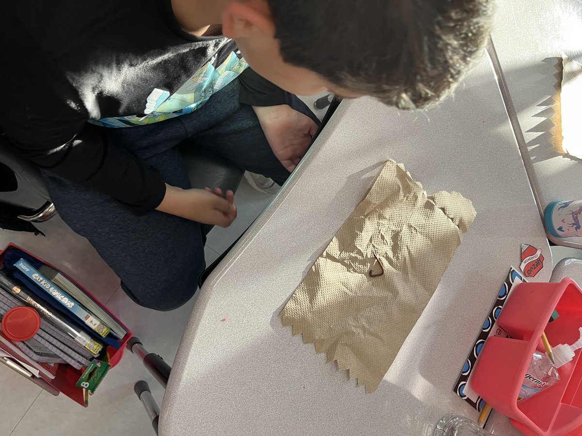 MsFletcher22's tweet photo. Today, thanks to Loudoun Soil, we were able to learn about the importance of soil conservation and worm conservation! #PBLexpert @GoshenPostES #goGPgators https://t.co/jh8cy12FWF