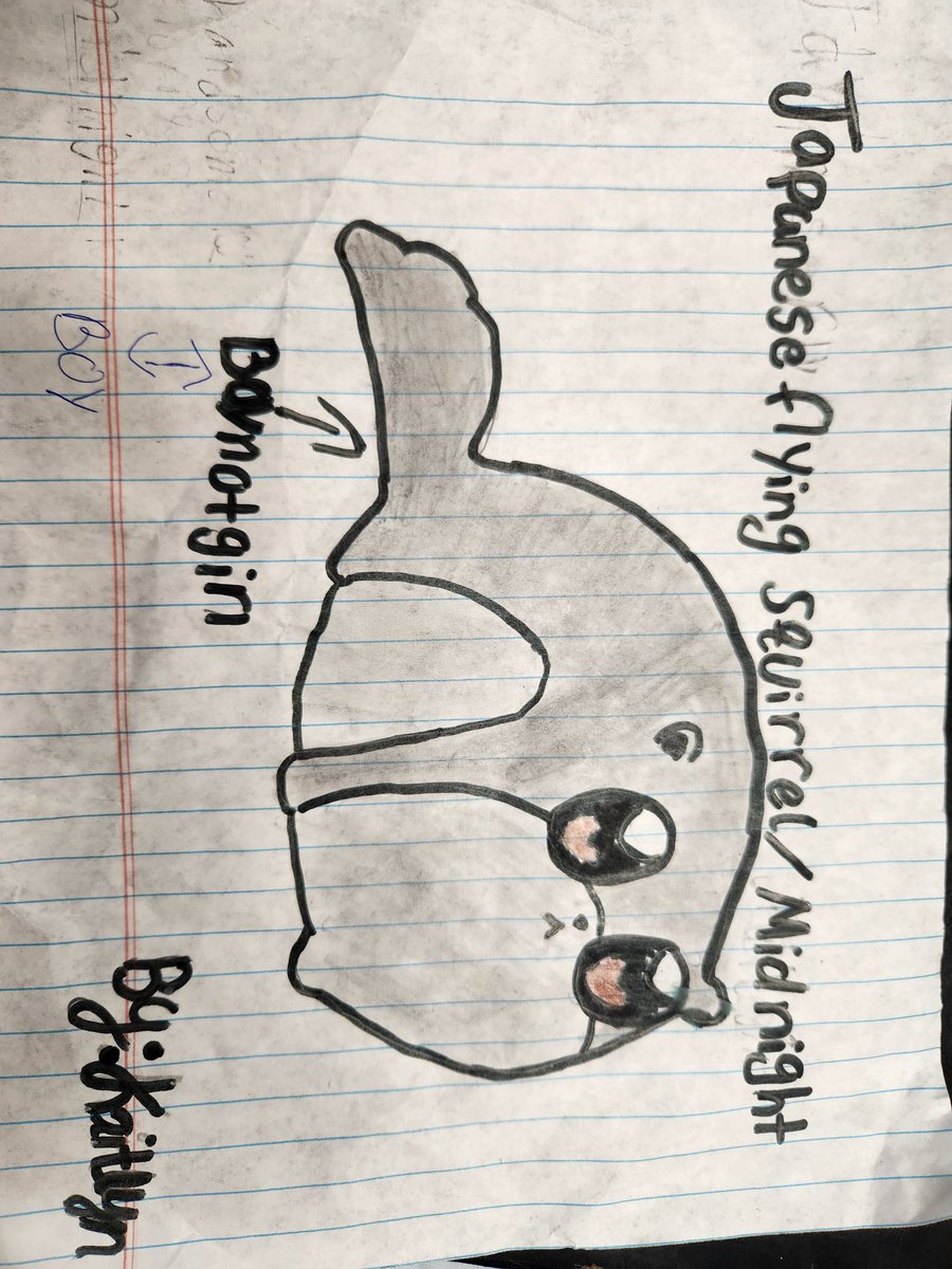 terrateaches's tweet photo. Fourth batch for #classcraftpets 
Of course Mary drew a lamb. 😆
@WGA_Leopards https://t.co/Q9kblR49lL