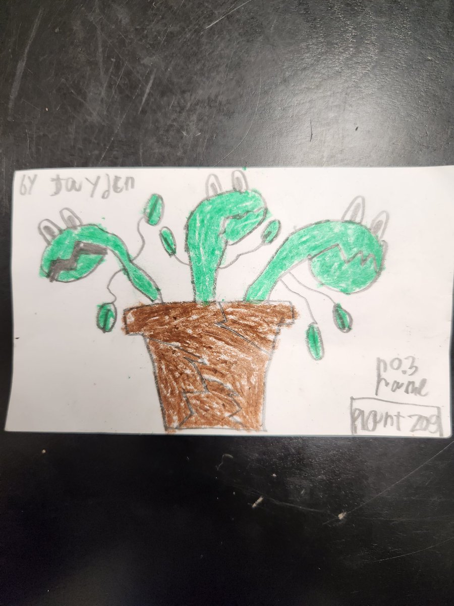 terrateaches's tweet photo. Brought to you by the creator of the "Cicada Mantis". He was so excited to contribute.
#classcraftpets 
@WGA_Leopards https://t.co/TbhQ2Q3Oo3
