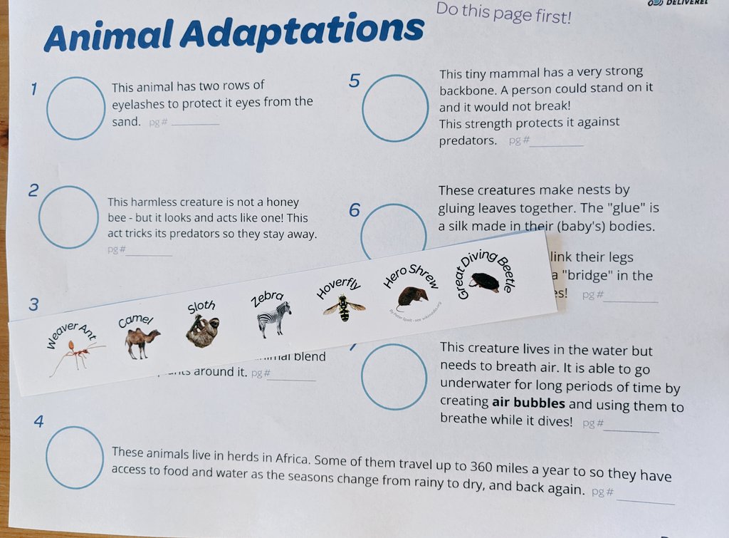 A big part of science is being able to efficiently locate important information. 3rd graders practiced this skill and used the index in multiple books to match animal facts with their animals!