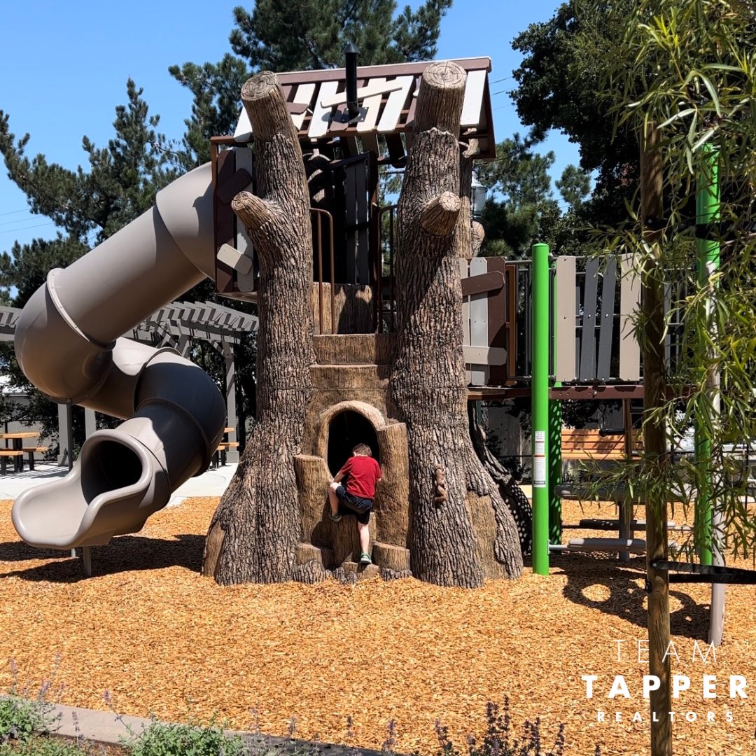 Did you know Borel Park in San Mateo is now open? The long-anticipated park at the intersection of Barneson and Shafter streets opened last month. 

teamtapper.com/blog/borel-par… #park #sanmateo #community #neighborhood #localpark #realtor #realestate