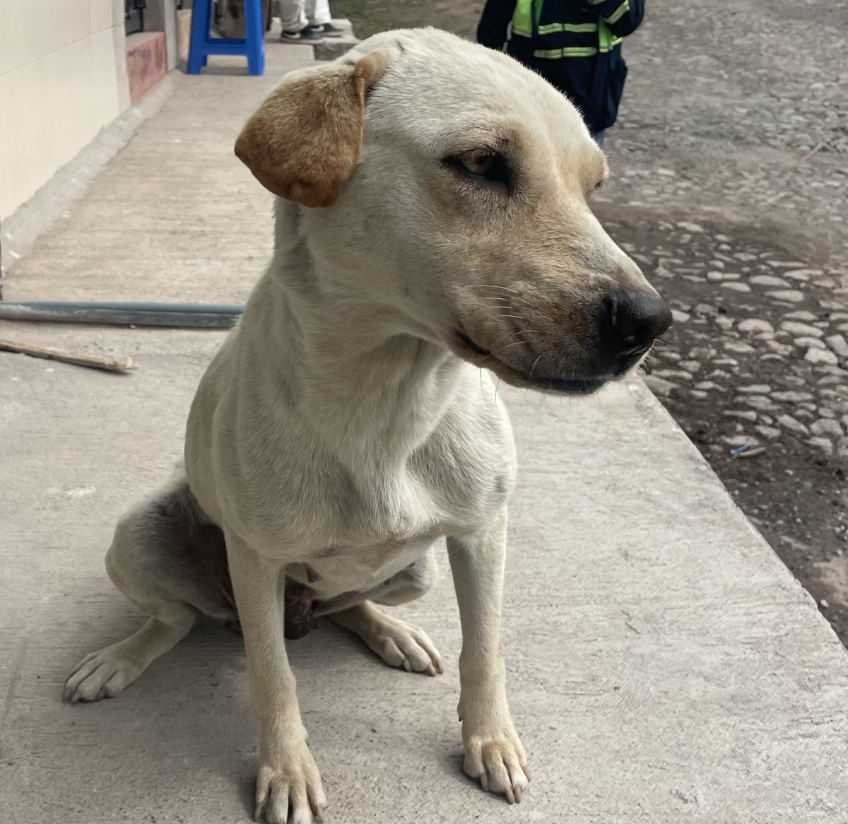 El rostro del abandono 💔, que no sienten dicen 💔, @FundacionRevida @MAPEsmeraldas