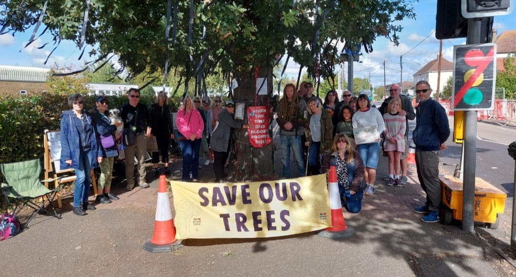 JustPlaneNews's tweet photo. @BloorHomes John Bloor, CEO of Bloor homes, a billionaire clearly not keen on trees, wants to fell a stunning 170-year old oak tree outside a school so his development can have a bigger entrance! Oaks support 2300 other species. @XRSouthend  @ChrisGPackham @WoodlandTrust @BBCNews https://t.co/XjRFyCY4xJ