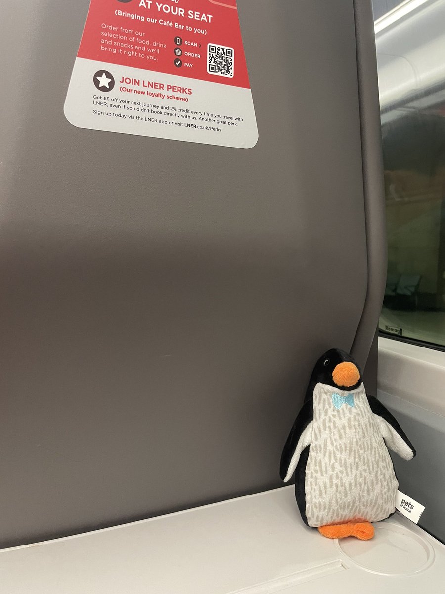 milla_killick's tweet photo. Found on @LNER 22:45 service from Newcastle to Leeds - will give a good home until owners com forward #missingpenguin #lner #found https://t.co/MnfU35KYGL