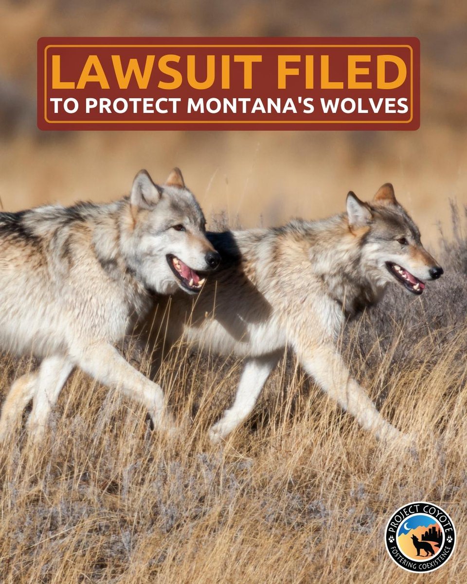 Project Coyote on Twitter "BREAKING NEWS We filed a lawsuit in