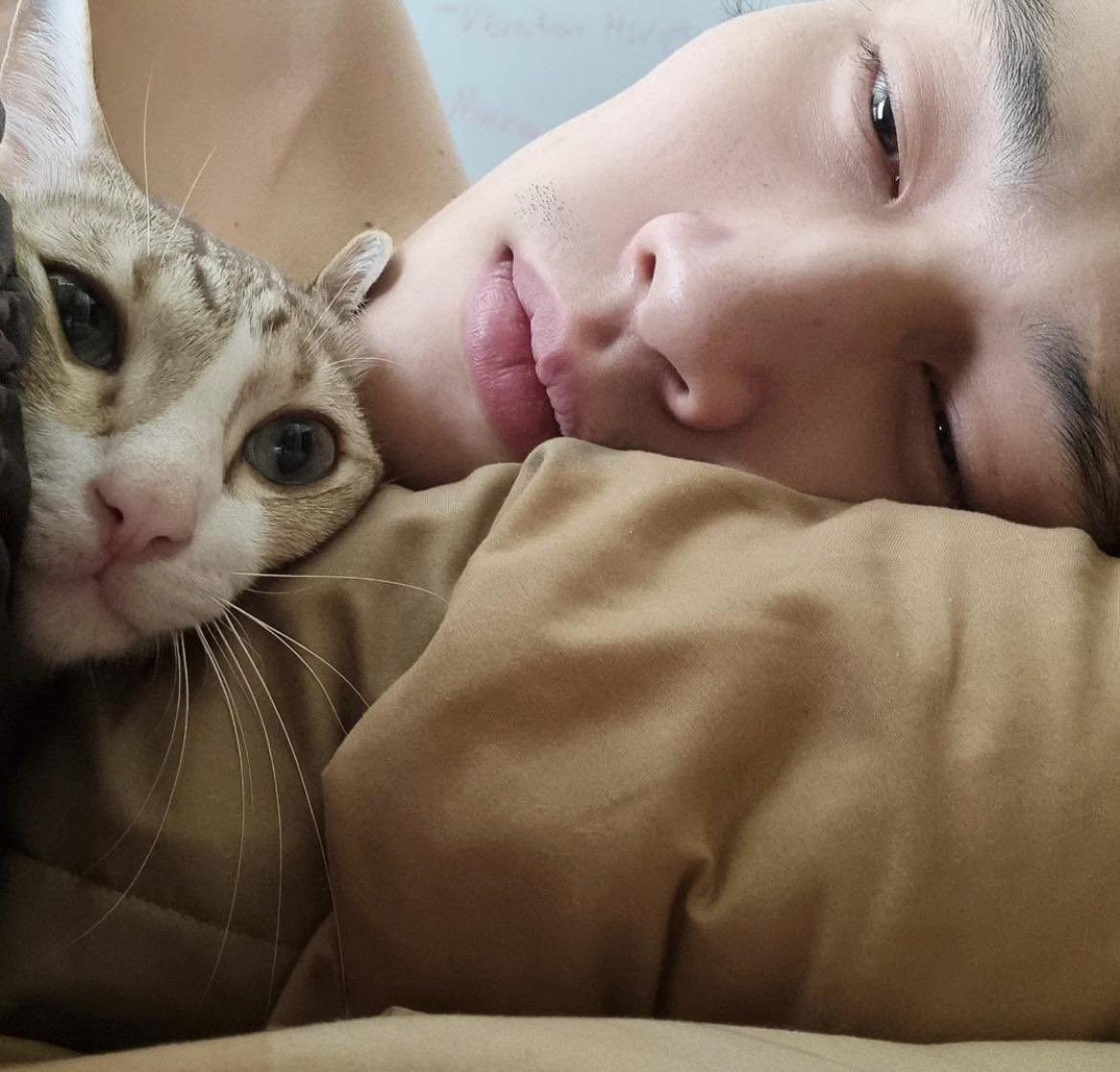 sumettfairy's tweet photo. a thread of bible with his cat grey because i love bible and i love cats 🐱 https://t.co/UoxjZuQ8Lq
