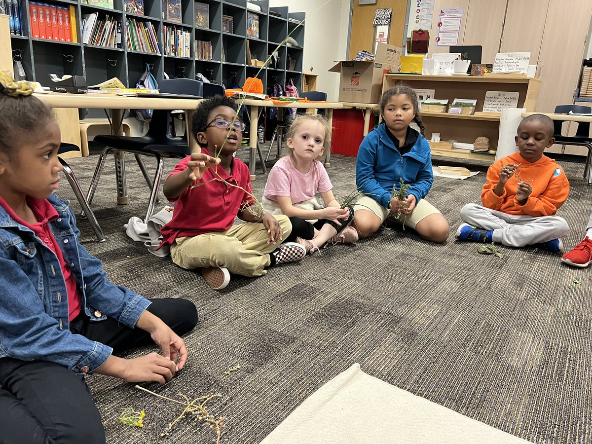 This group of Lower Elementary scholars went on a ramble to collect specimens that related to what they were learning about in their Botany lessons. They then came together to share what they found.