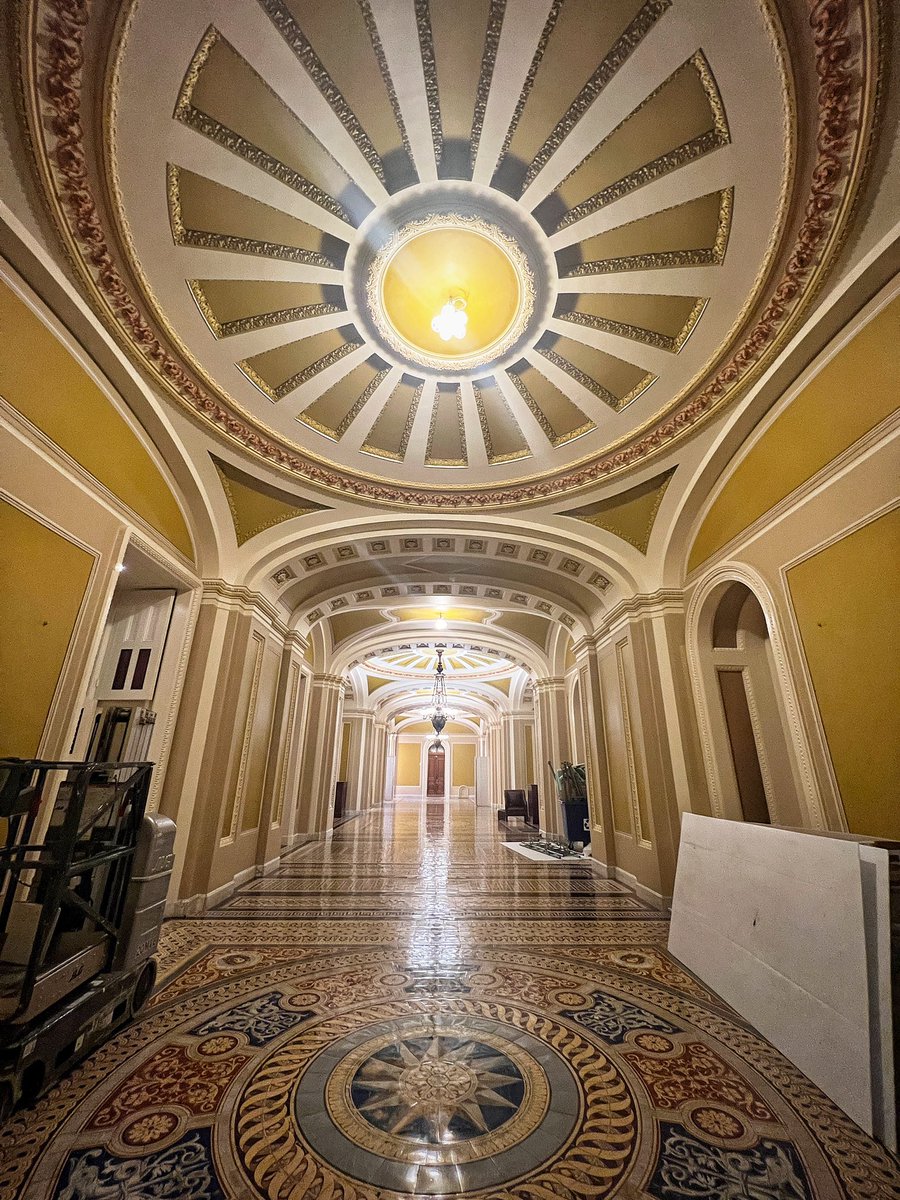The Ohio Clock Corridor is scaffold-less for the first time in months after they applied a fresh coat of mustard-colored paint. Still missing a few chandeliers, but looks like it’ll be back to normal when the Senate returns next month: