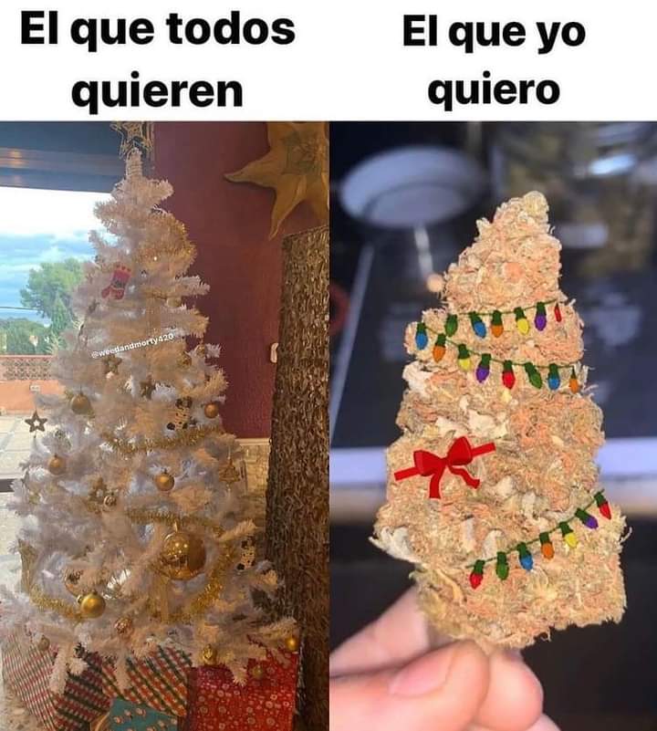 Todos/yo