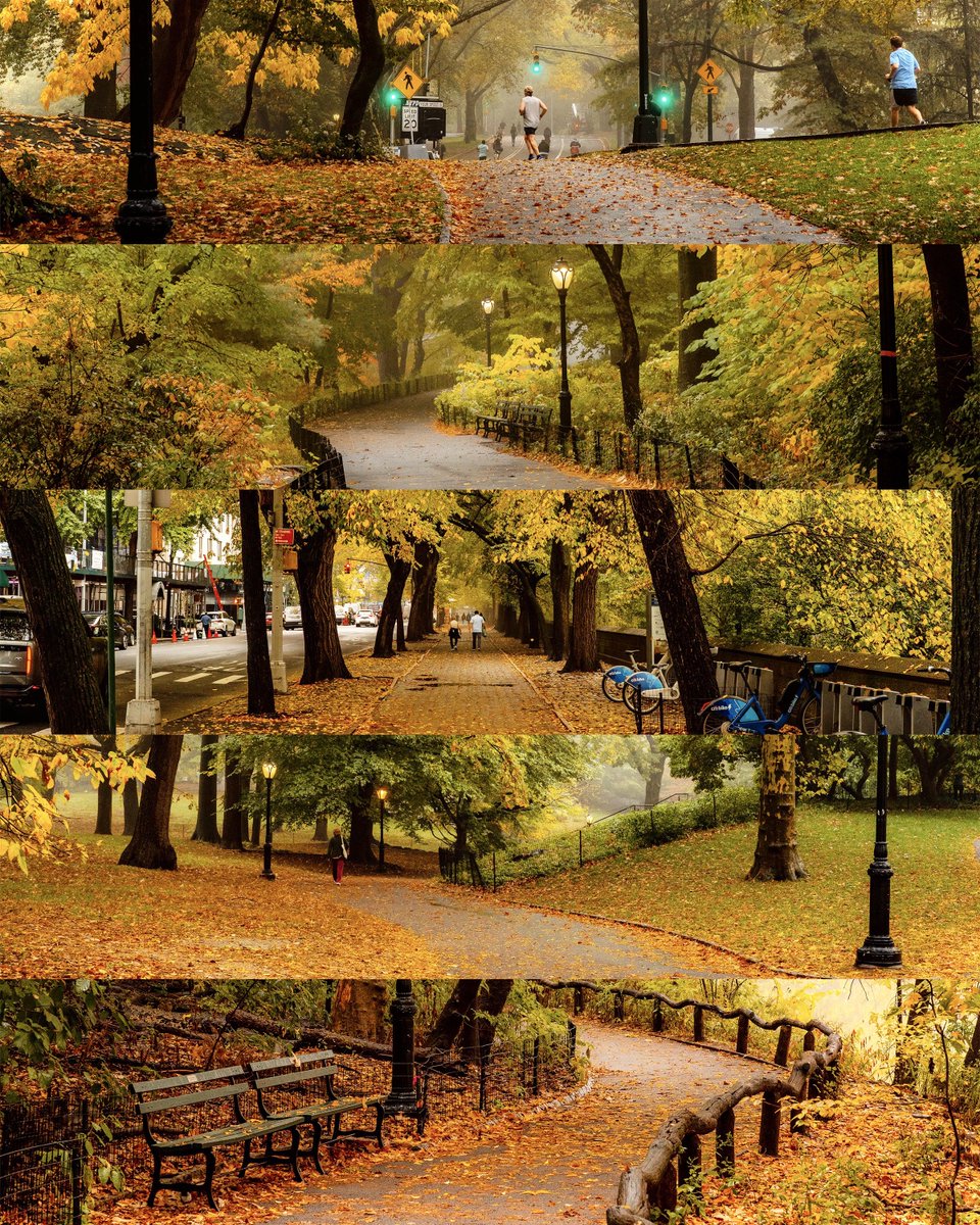 Autumn in Central Park 🍂✨