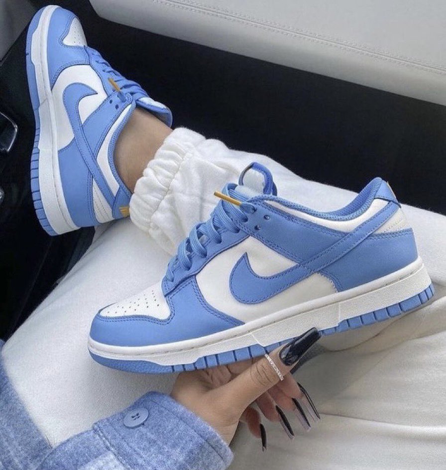Nike dunk low blue