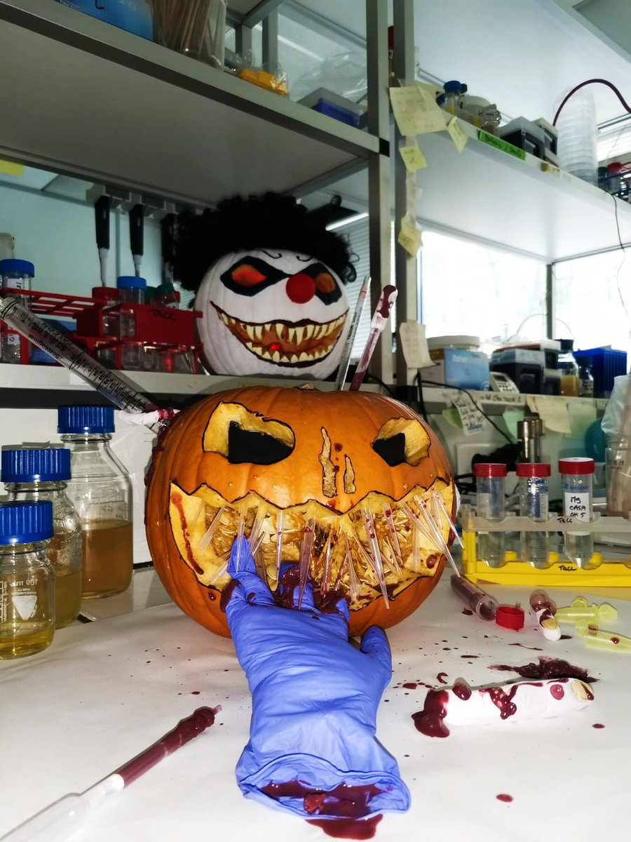 Nightmare at the <a href="/tacc_c/">C. LESTERLIN - TacC LAB</a> lab ! 🎃🤡 "When experimenting goes wrong... Be careful someone is always creeping out 👀"

Carving contest at @MMSB_Lyon , Rania and Élisabeth represented the team 👻