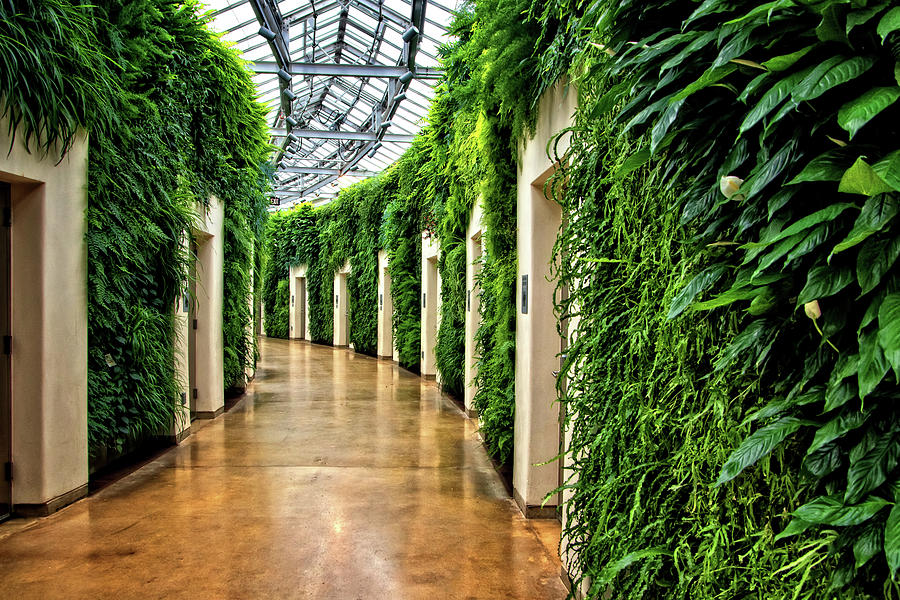 📍 Longwood Gardens 
🌱 The Green Wall in Longwood Gardens East Conservatory is the largest in North America. The wall contains 47,000 plants, provides oxygen, and cleans dust from the air plus provides a very calming stroll for visitors down the curving corridor.
#biophilia