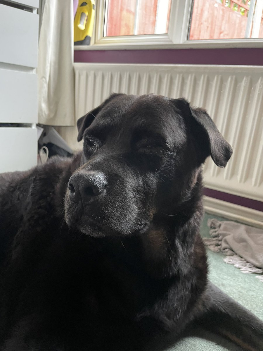 ᅠ ᅠᅠcal tweet media