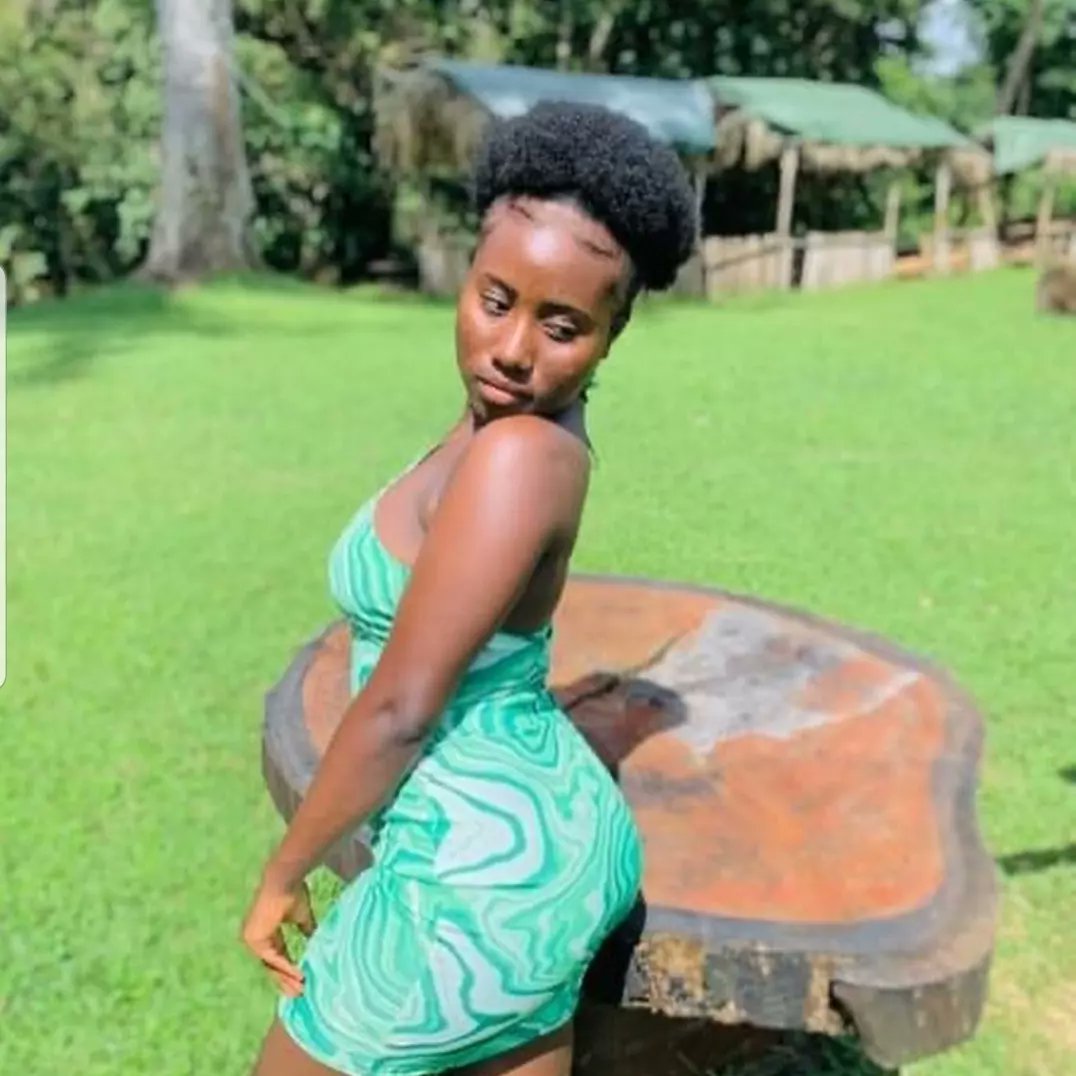 Kpatawee Waterfalls tweet media