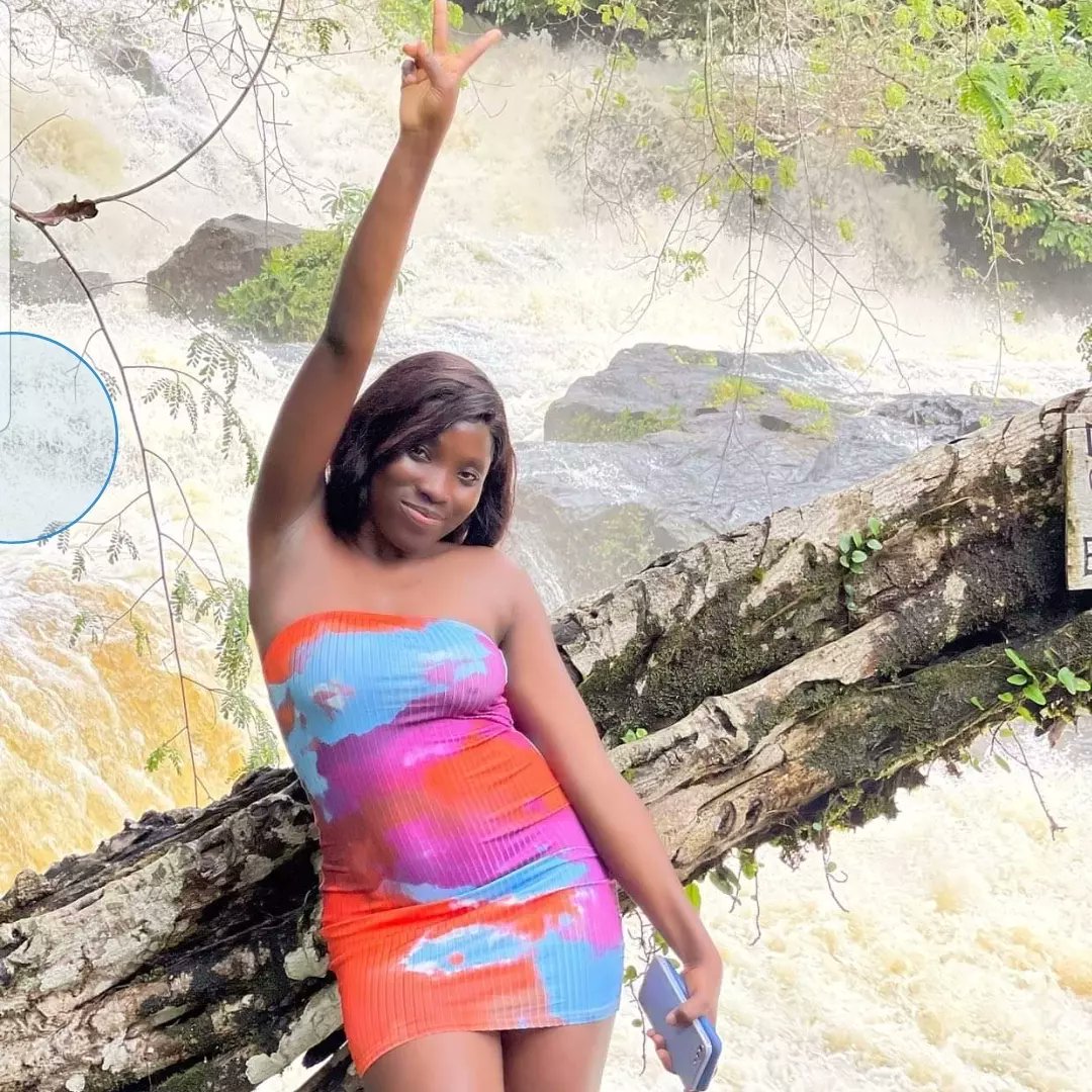 Kpatawee Waterfalls tweet media