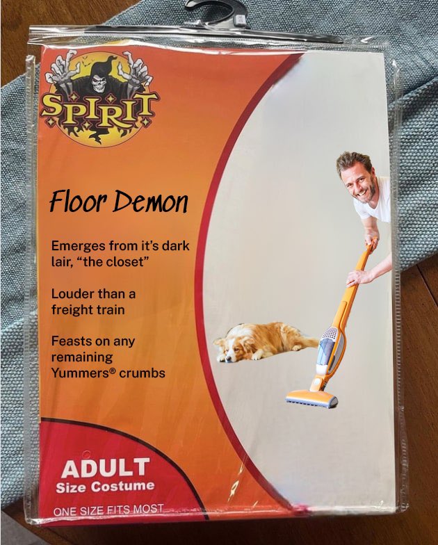Yummerspets's tweet photo. The scariest costume is sometimes not a costume at all, but a vacuum 🤣🎃

#SpiritHalloween #yummerspets https://t.co/nTZzJynfxA