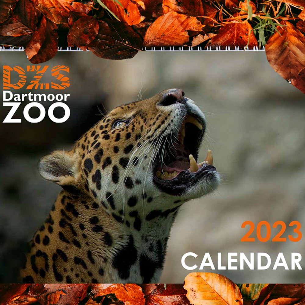 DartmoorZoo's tweet photo. Our 2023 calendar has landed and is packed full of amazing images, all photographed by veterans. 🗓🦁

‘Wellness through Nature’ is a project run by Armed Forces Veterans at Dartmoor Zoo to support ex service personnel to improve their wellbeing.

🛒 https://t.co/3tDXxJr2Iv https://t.co/3CC9XJeMk5