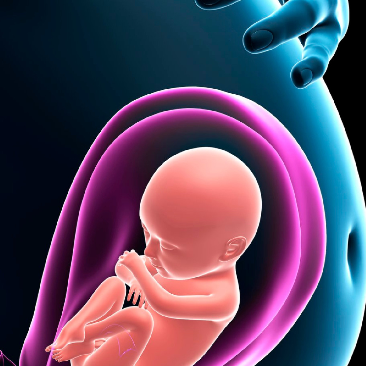 ucmercedlib's tweet photo. Congrats to faculty member Sandie Ha @SandieHa1 for her 2022 review article "The Changing Climate and Pregnancy Health" published open access in Current Environmental Health Reports. https://t.co/Gd3lfVGEsC
#OpenForClimateJustice #OAWeek #OpenScience #UCMerced https://t.co/Vo7qXZvCh7