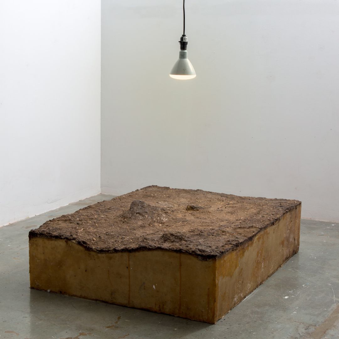 MOCA Jacksonville tweet media