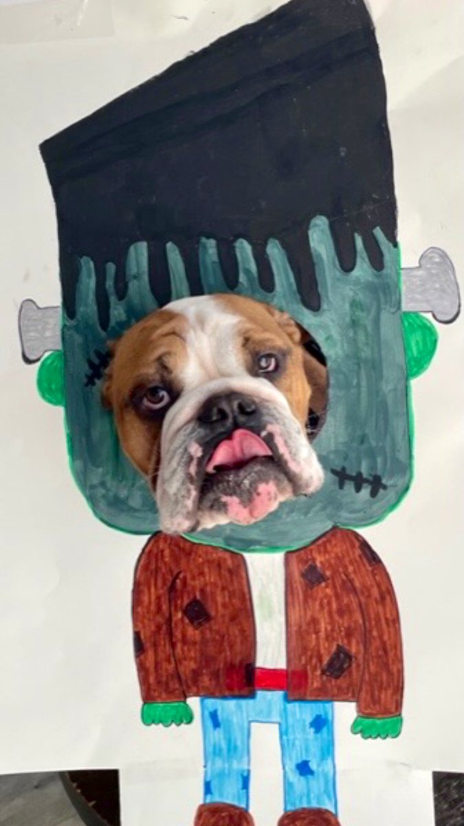I was working in the lab, late one night
When my eyes beheld an eerie sight
For my monster from his slab, began to rise
And suddenly to my surprise…