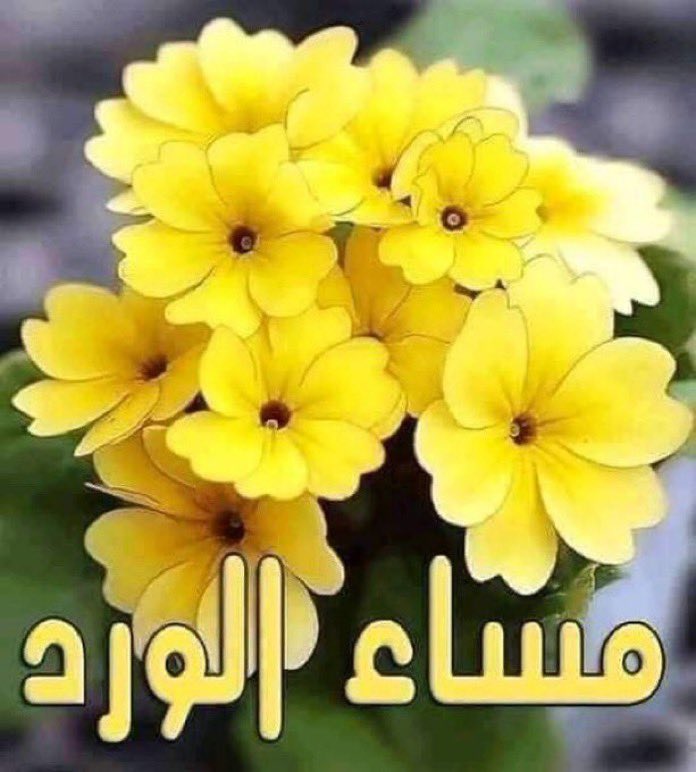 محمد (@alhansqr) on Twitter photo 