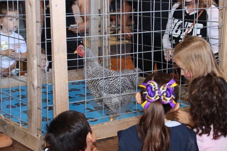 ArlingtonISD's tweet photo. More than 1,000 people attended the Arlington FFA Fall Festival at the Arlington ISD Agriculture Science Center last weekend! FFA chapter members, representing various #ArlingtonISD junior high and high schools, were pleased with the turnout. Learn more: https://t.co/bR1Y89OqtC https://t.co/Dky0VFN6n3