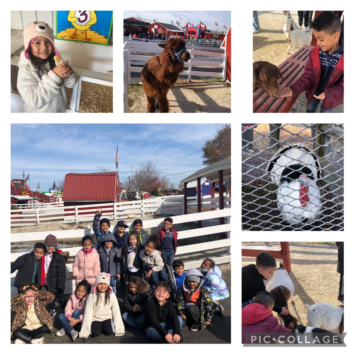 Traci Baez tweet media