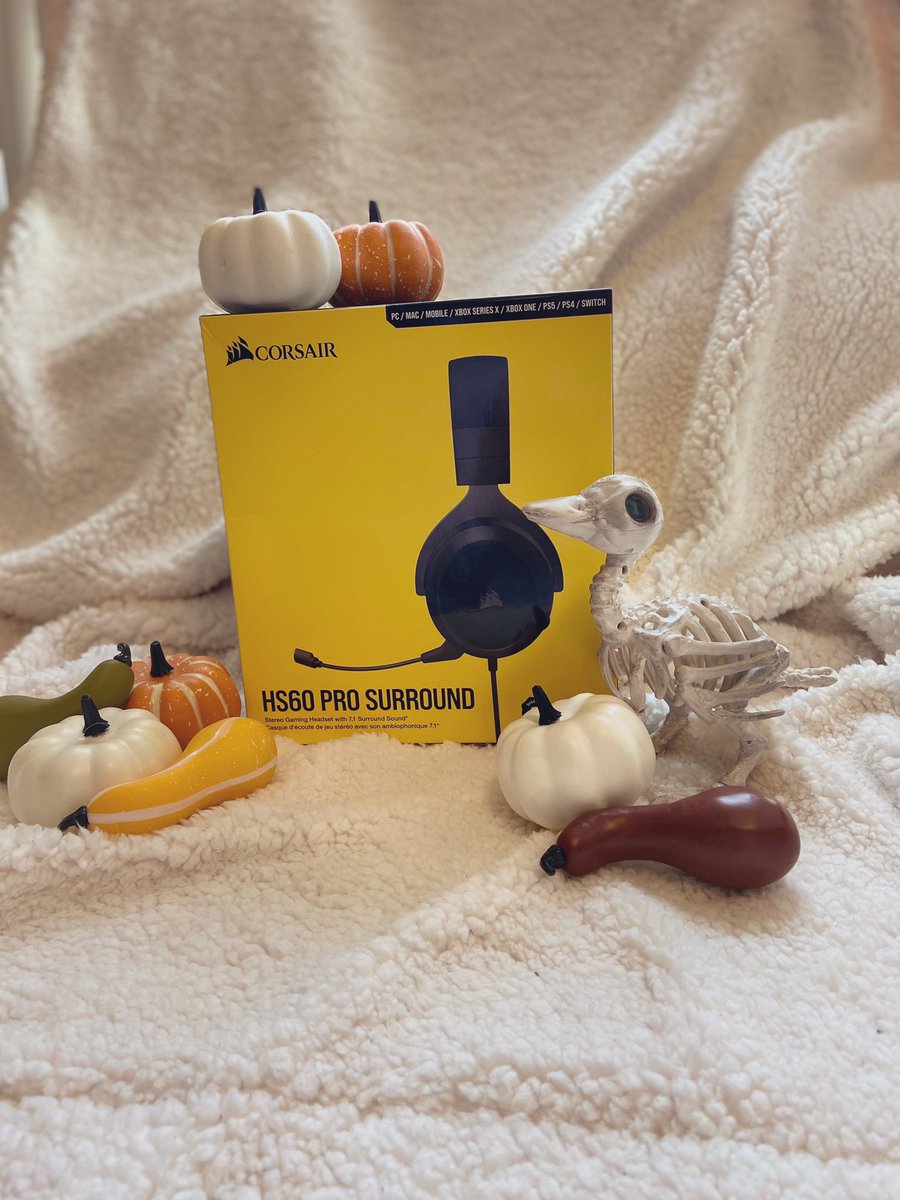 paige_float5's tweet photo. So excited to announce that I will once again be a Corsair Student Ambassador! I’m so grateful for the opportunity and I can’t wait to promote all the amazing products Corsair has to offer. The only problem is that I can’t keep all these sweet peripherals🥲 https://t.co/losz0aIy2z