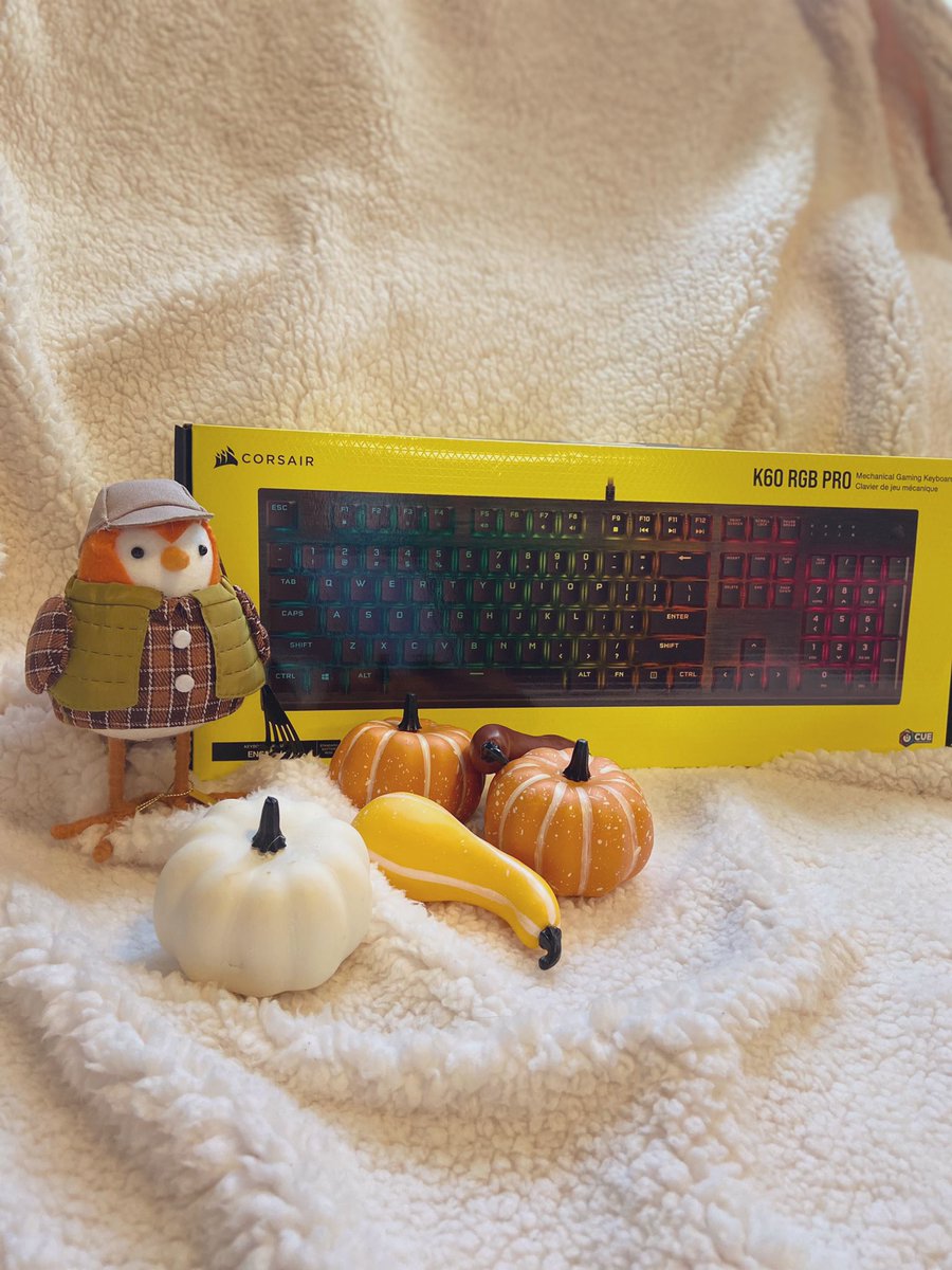 paige_float5's tweet photo. So excited to announce that I will once again be a Corsair Student Ambassador! I’m so grateful for the opportunity and I can’t wait to promote all the amazing products Corsair has to offer. The only problem is that I can’t keep all these sweet peripherals🥲 https://t.co/losz0aIy2z