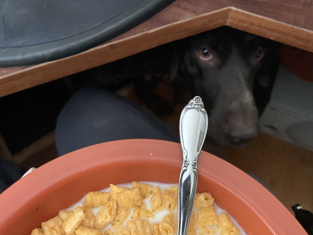 TheMilesSmiles's tweet photo. Don’t worry, if you spill something I’ll clean it up right away so you don’t have to crawl under here. https://t.co/E0BcfrTqV4