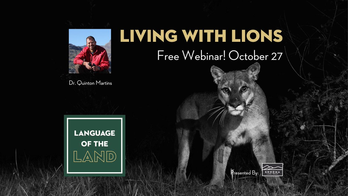SonomaLandTrust's tweet photo. You can live safely next to lions. In this free webinar about our coexistence with big cats, we'll show you how. Tune in tonight to #languageoftheland at 7pm PST for Living with Lions
Register Here:
https://t.co/7gm21qvZ0d
#livingwithlions #truewild #northbaymountainlions https://t.co/Vw5l99bem8