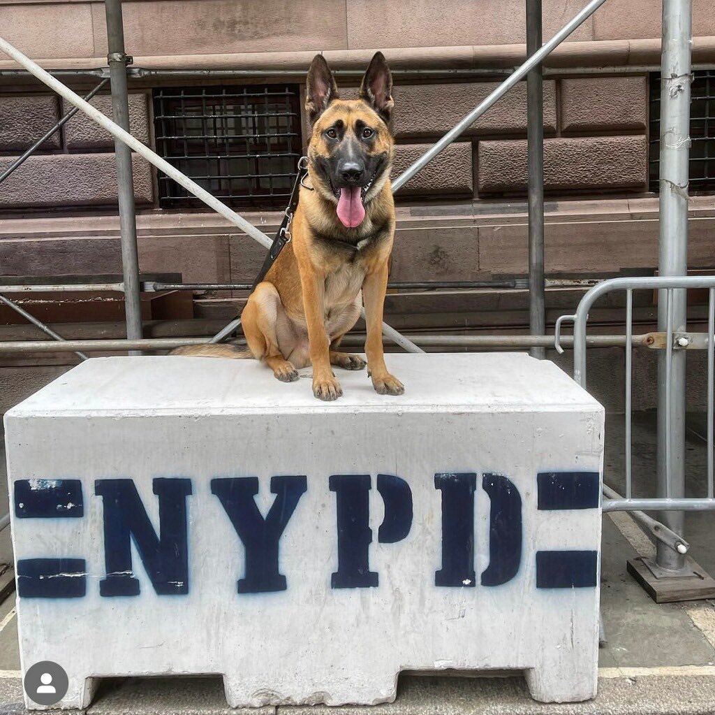 Firearm Serial Number Search Firearm Serial Number Search