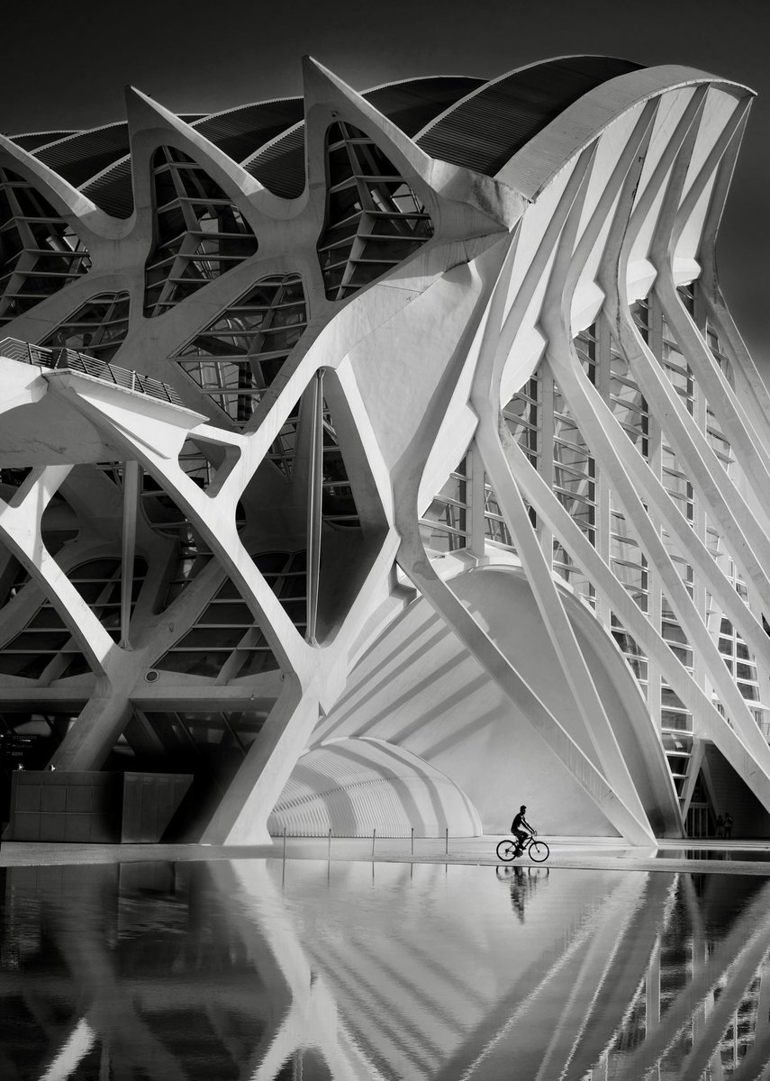 MarkFearnley_'s tweet photo. Valencia  🚴 https://t.co/9E6e0XKBbO