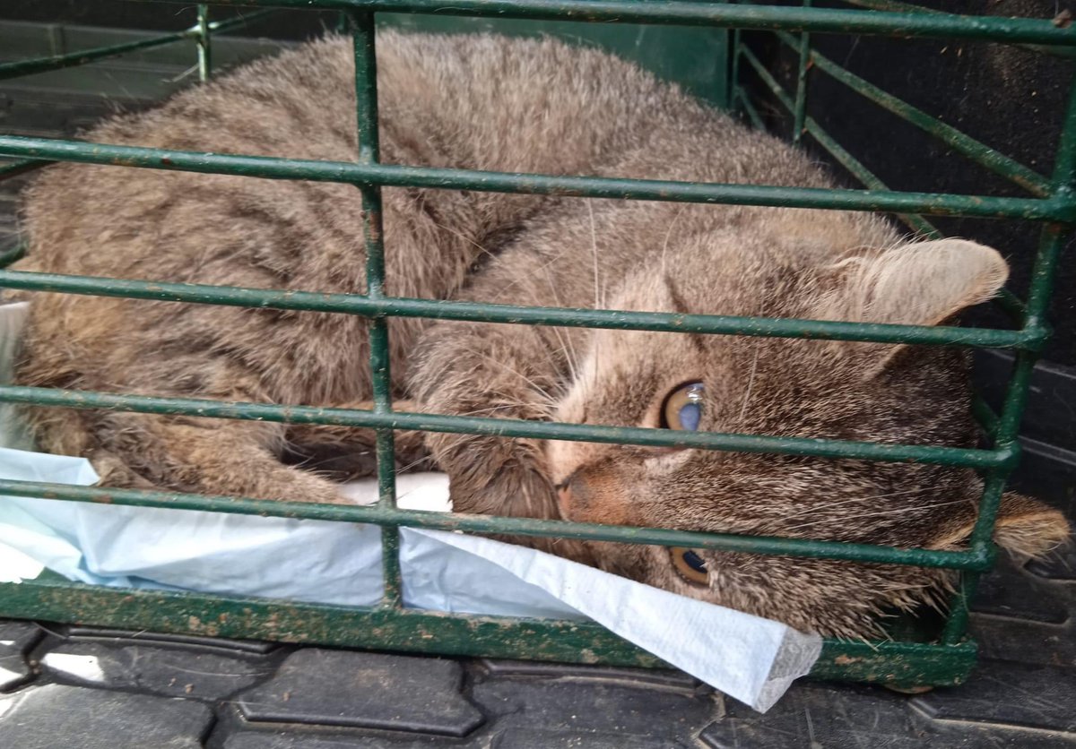 Katka Etrychova tweet media