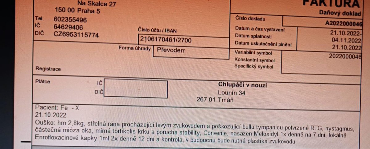 Katka Etrychova tweet media