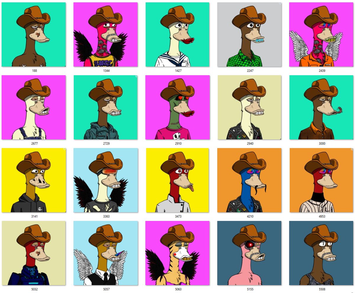 cryptodramz's tweet image. GM. 

Look. I know. But still. 

Once you go @LunaticsCNFT you always go #Quack