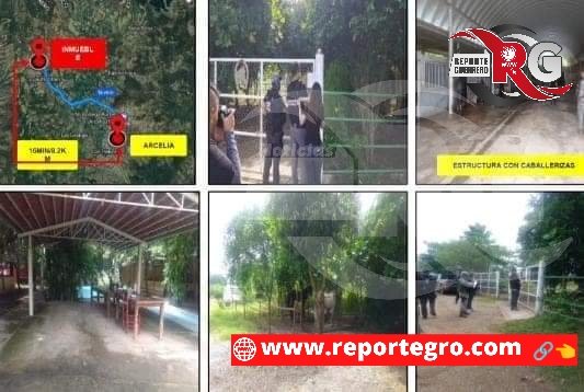 nreportegro's tweet image. Catean casas de #ElFresa y #ElPez en #Guerrero; aseguran animales exóticos, droga, armas y autos 

◾El grupo criminal La #FamiliaMichoacana serían quienes perpetraron la multiejecución en San Miguel Totolapan, determina el @GobiernoMX

👉🔗reportegro.com/catean-casas-d…